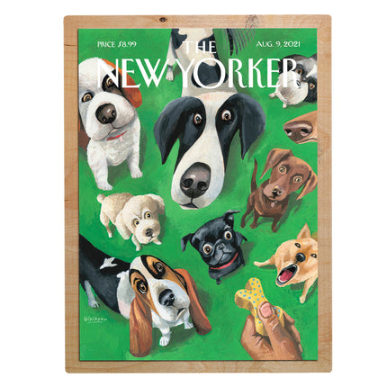 New Yorker Hunde