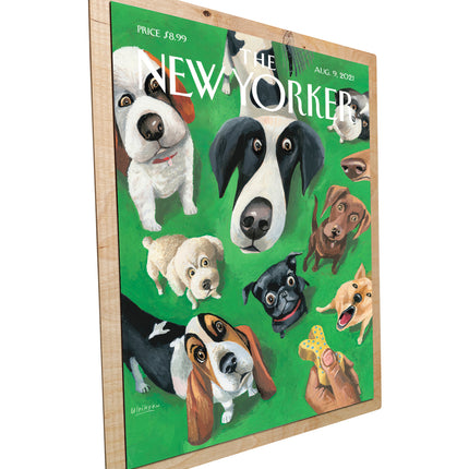 New Yorker Hunde